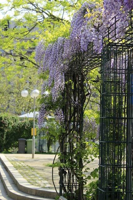 Tour du monde des jardins extraordinaires